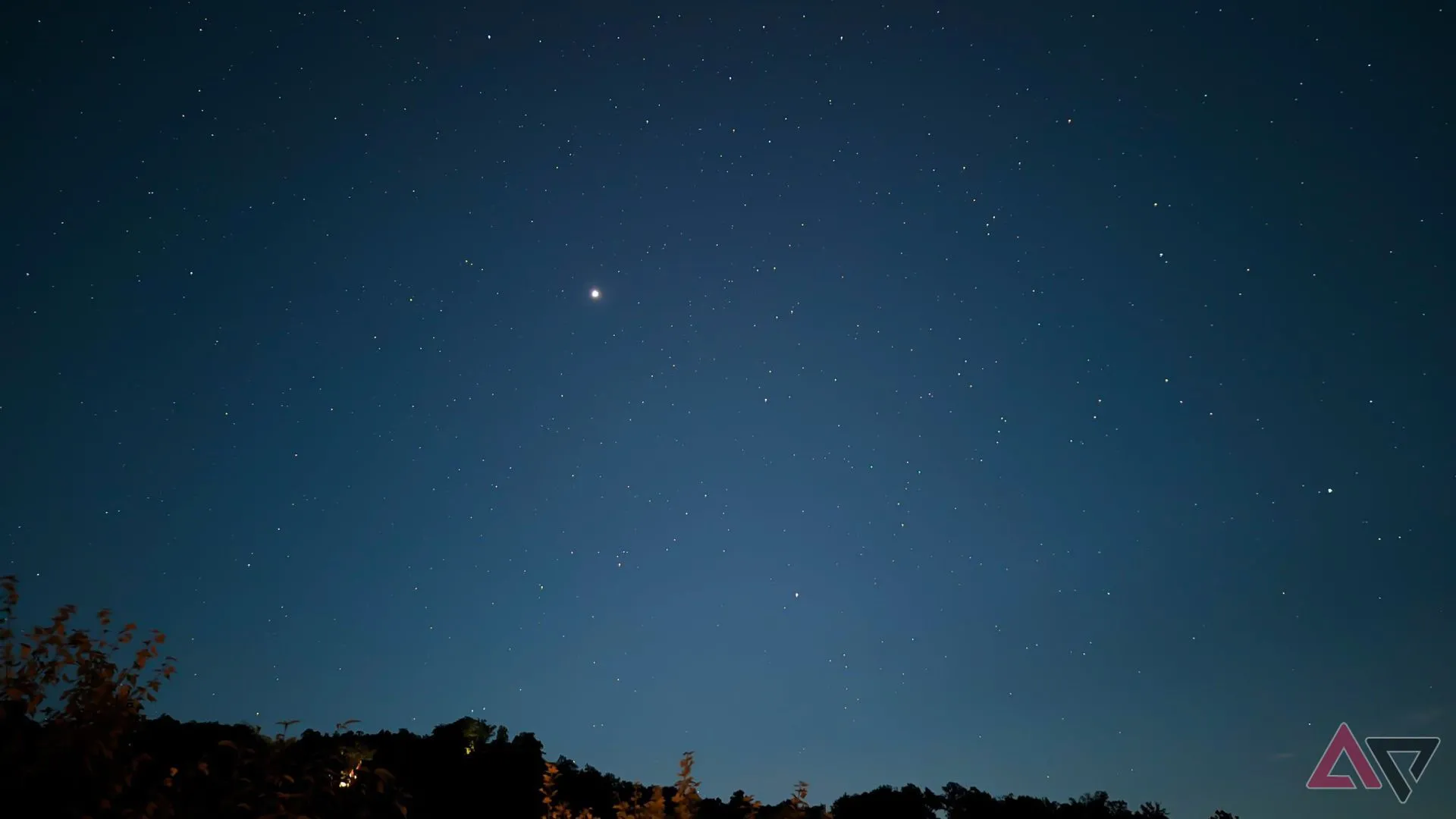 Ảnh bầu trời đêm với dải cây phía dưới, minh họa chế độ Astrophotography trên Pixel 9a