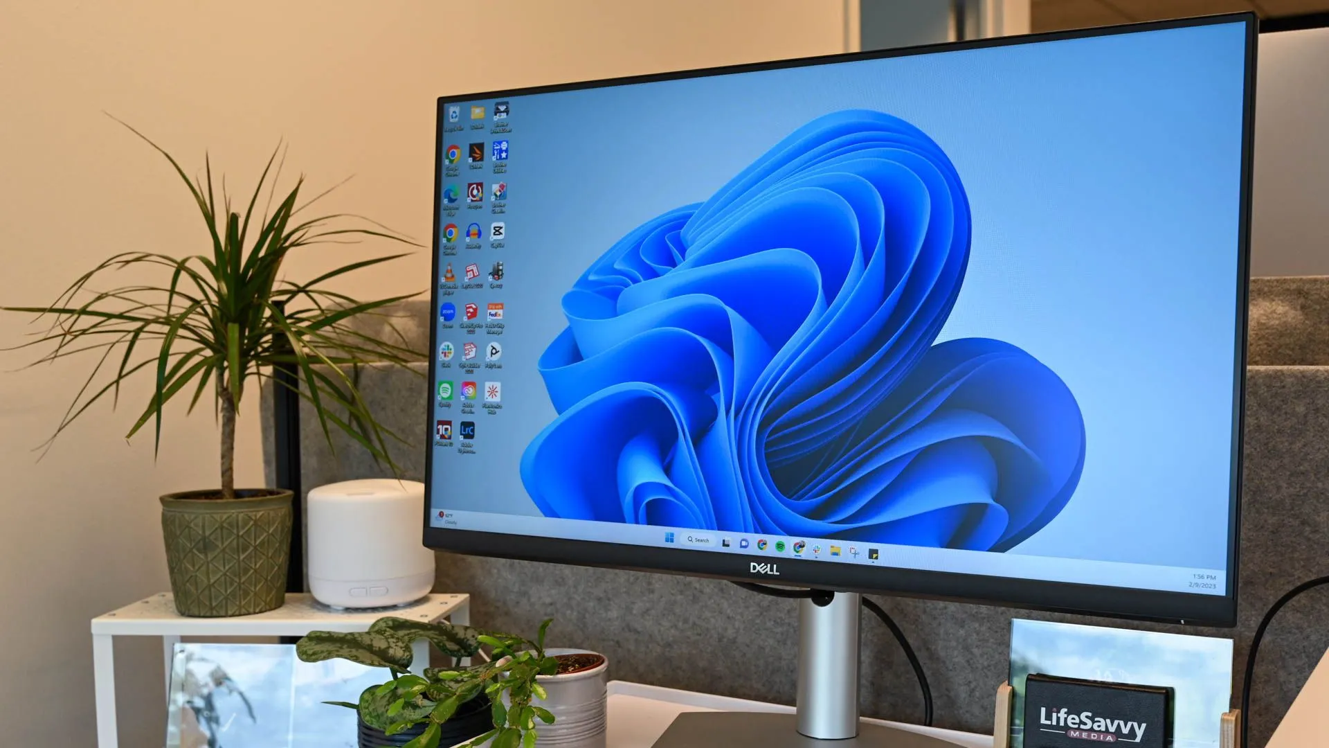 Hình ảnh máy tính chạy Windows 11, minh họa môi trường làm việc với Microsoft Edit
