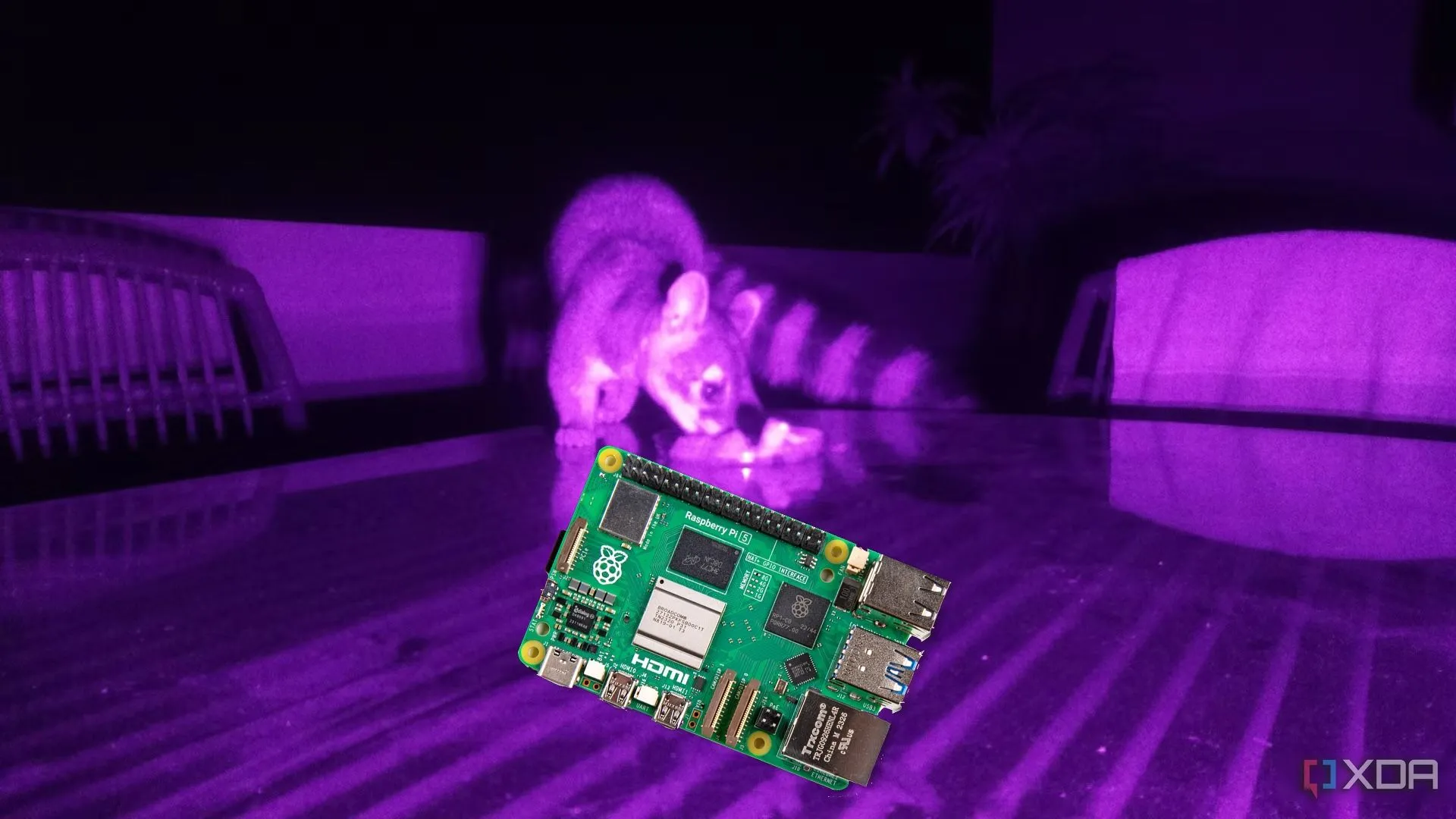 Card Raspberry Pi trên nền tím, tượng trưng cho tính đa năng và tiềm năng sáng tạo không giới hạn