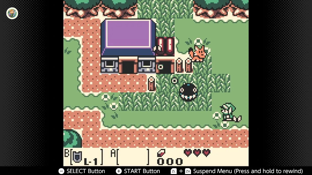 Ảnh chụp màn hình game The Legend of Zelda: Link's Awakening DX trên Game Boy