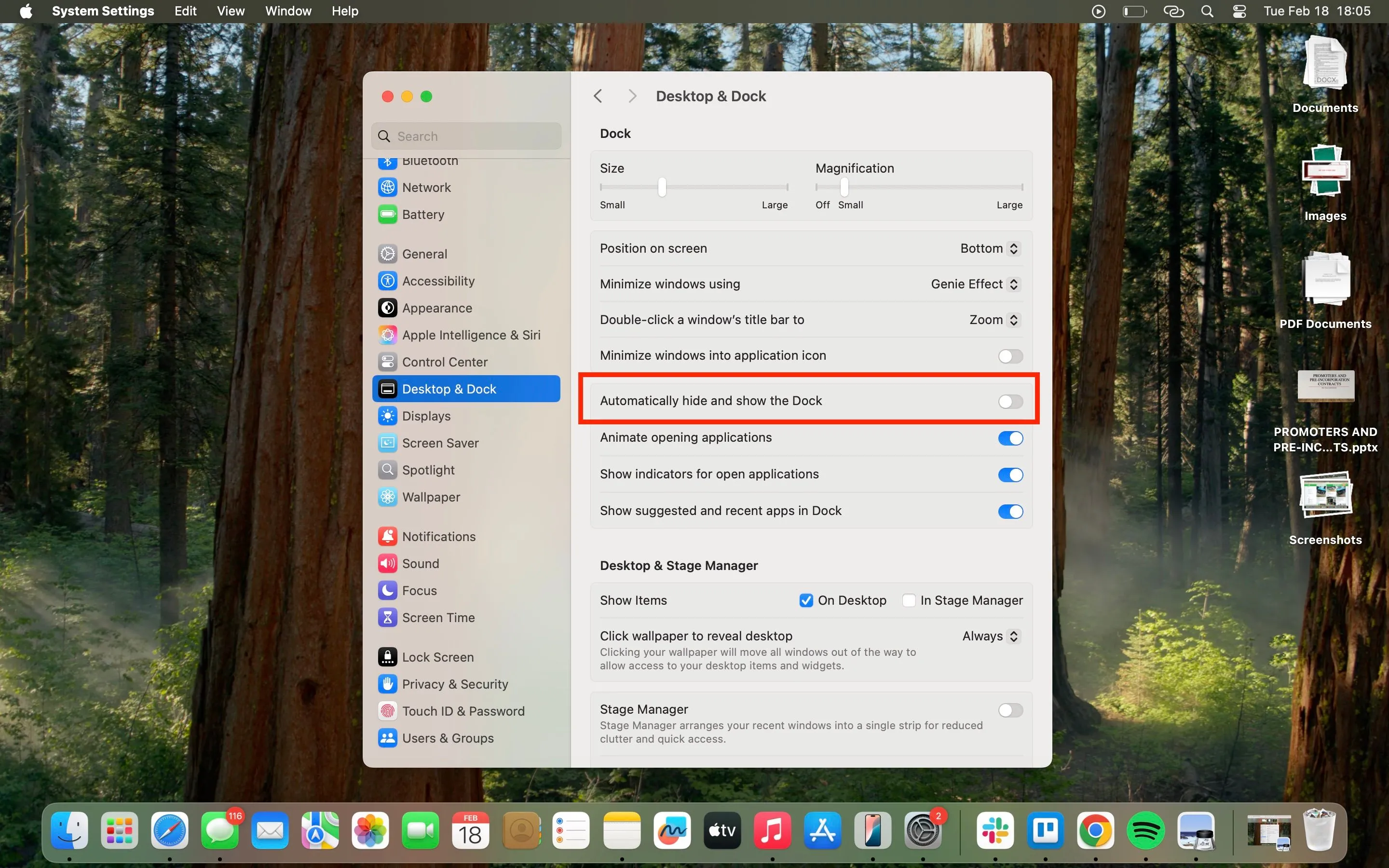 Ảnh chụp màn hình tính năng tự động ẩn Dock trên macOS giúp tối ưu không gian làm việc