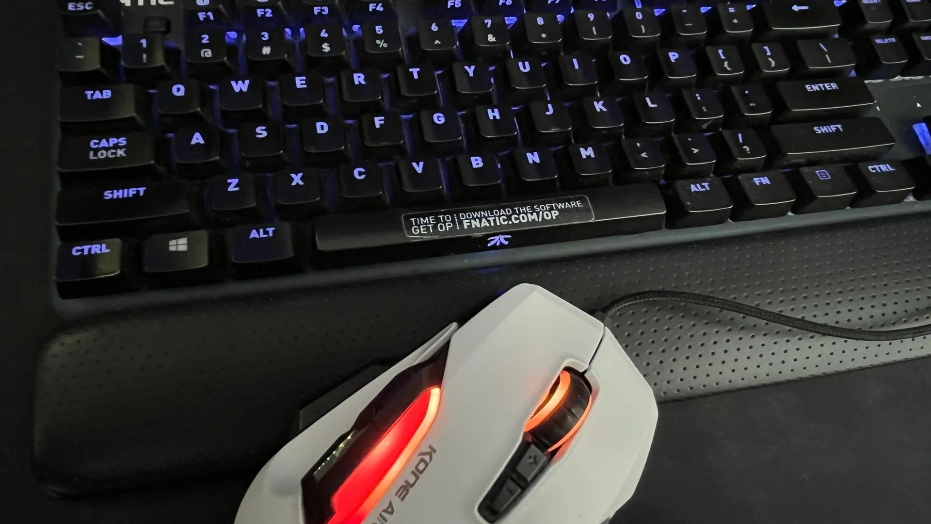 Bàn phím RGB Fnatic và chuột Roccat, minh họa cho phần cứng gaming.