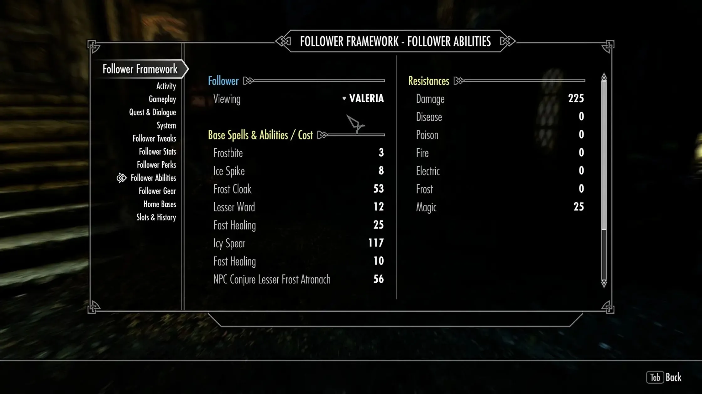 Cảnh chụp trong game cho thấy người đi theo từ mod Nether's Follower Framework trong Skyrim