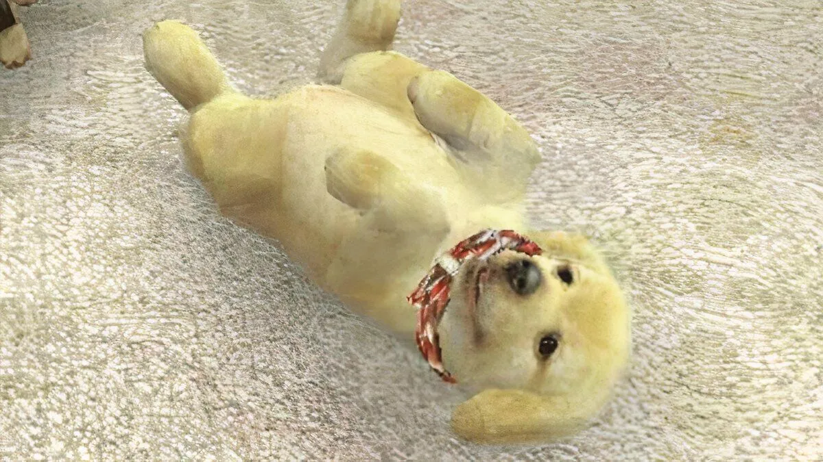 Chú chó Golden Retriever trong game Nintendogs, biểu tượng của dòng game mô phỏng thú cưng được yêu thích trên Switch 2.