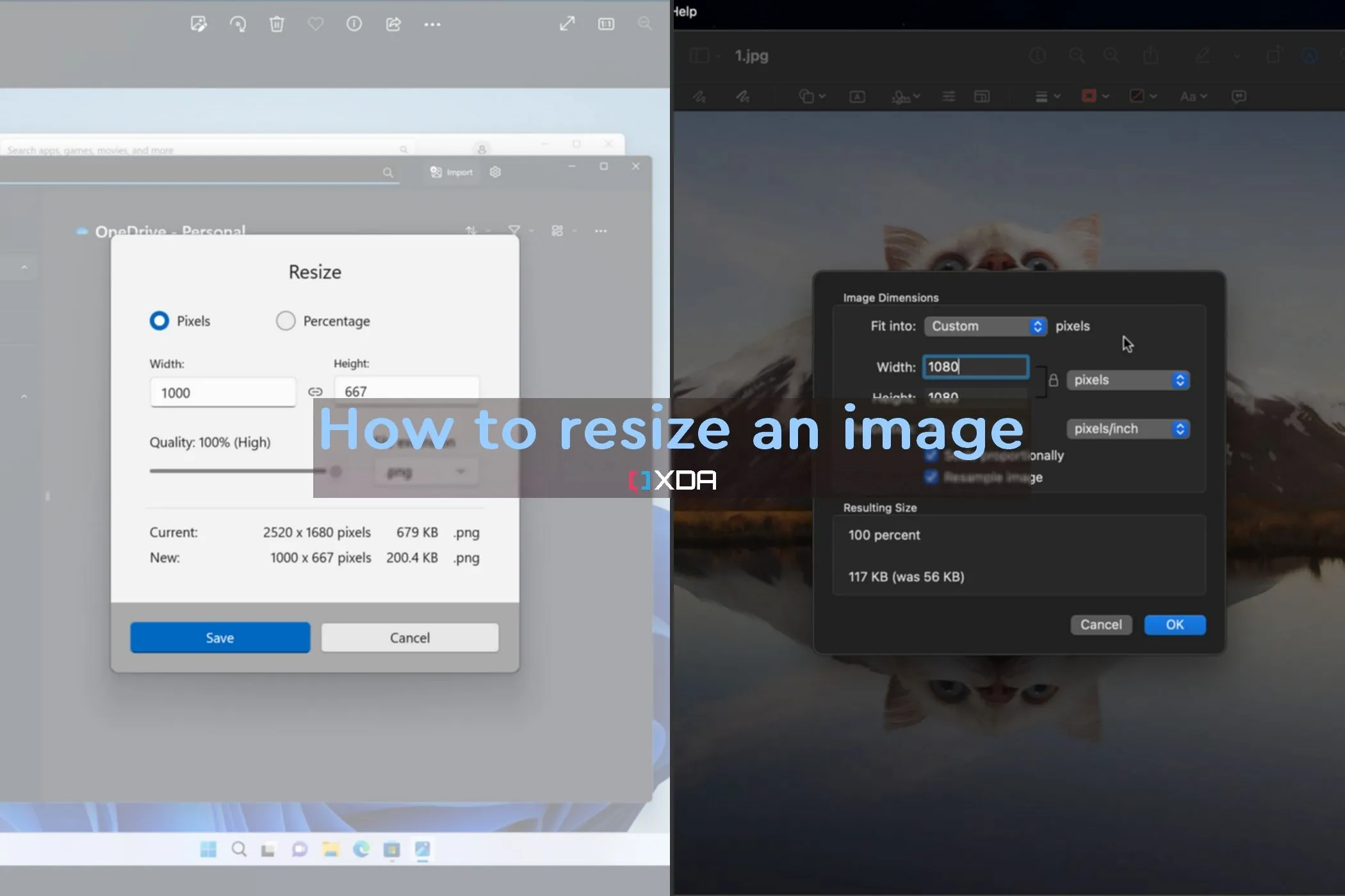 Chụp màn hình công cụ Image Resizer của PowerToys giúp thay đổi kích thước ảnh trên Windows 11.