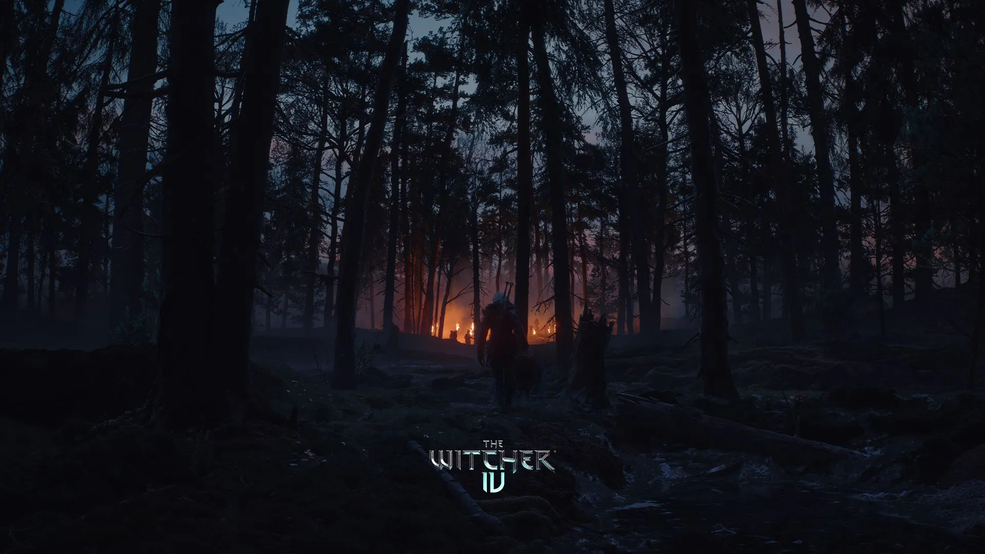 Ciri trong vai trò một nữ Witcher, đối mặt với những thử thách mới trong The Witcher 4