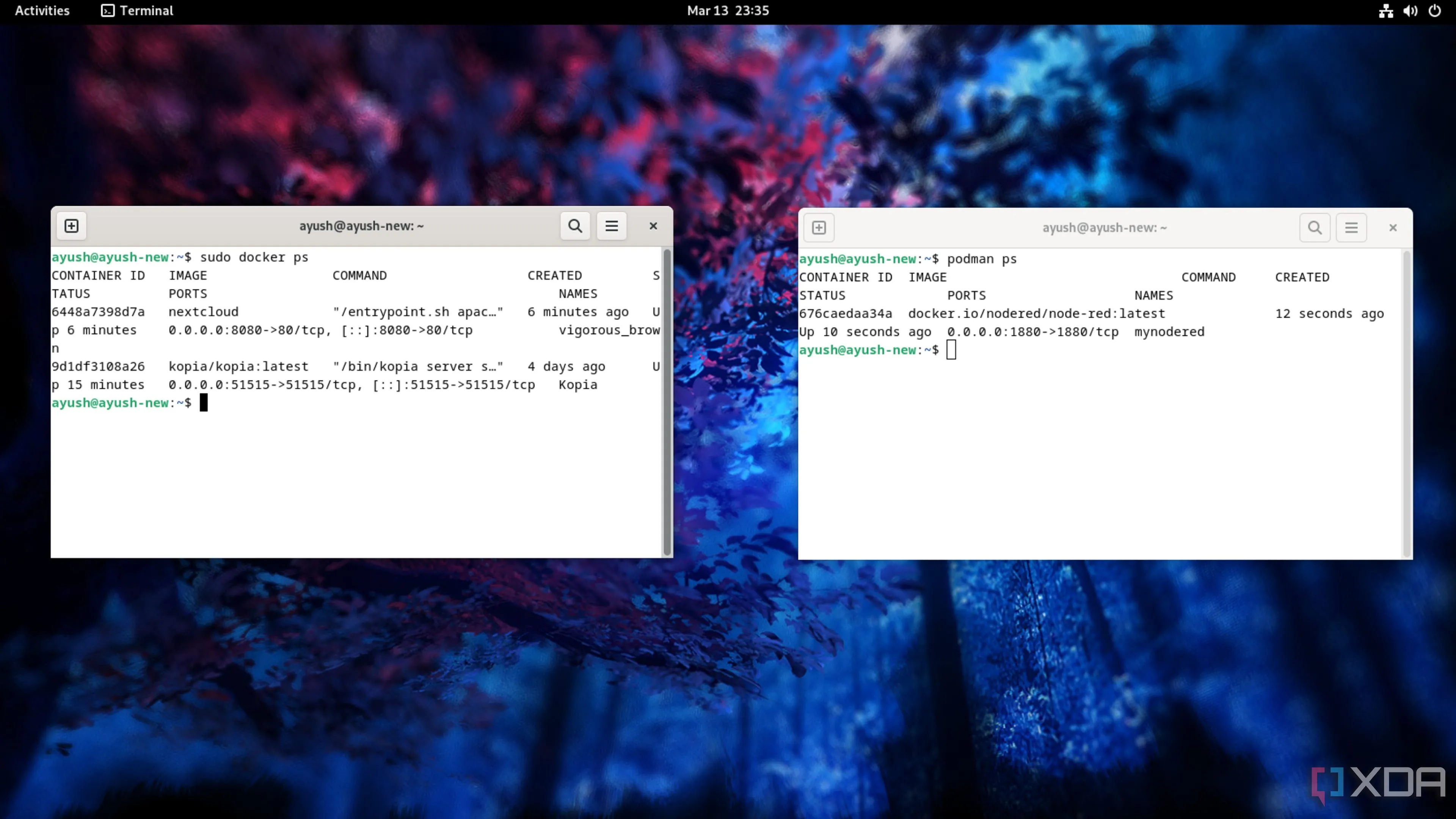 Docker và Podman chạy song song trên màn hình laptop