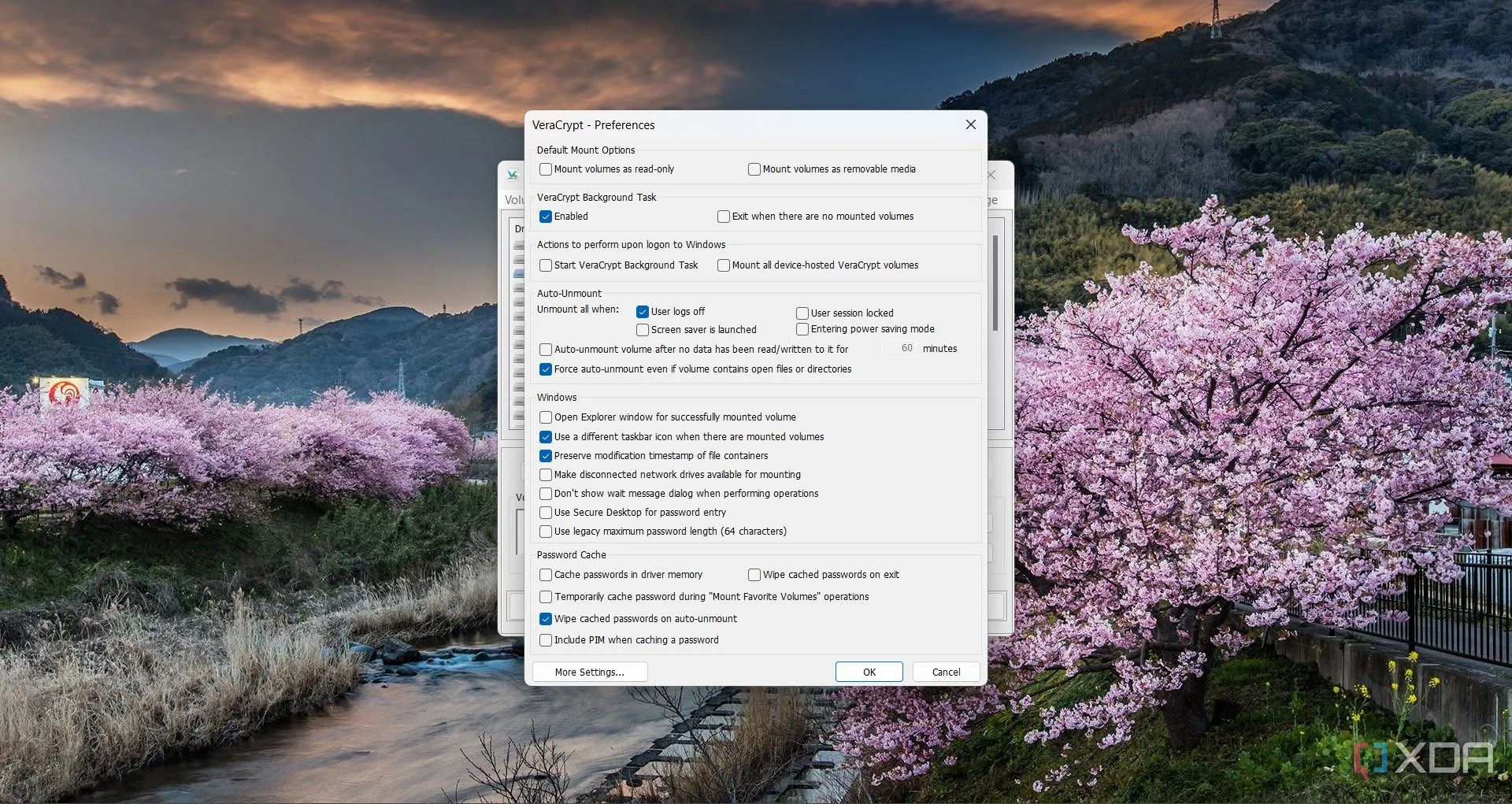 Giao diện cửa sổ cài đặt tùy chọn của VeraCrypt