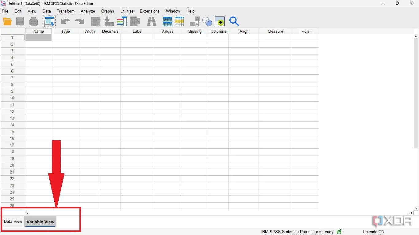 Giao diện phần mềm SPSS hiển thị đồng thời Data View và Variable View