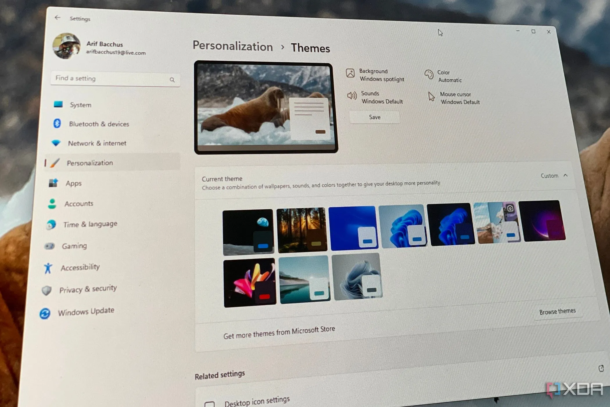 Giao diện theme Happy Easter trên Windows 11 với hình ảnh thỏ và trứng, mang lại không khí lễ hội vui tươi