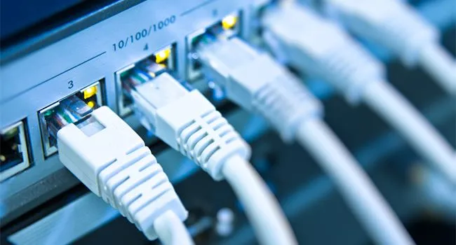 Hệ thống cáp mạng kết nối với bộ chuyển mạch (switch), minh họa việc lựa chọn switch chất lượng.