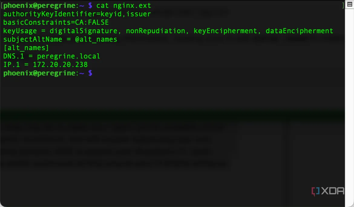 Hiển thị nội dung tệp &quot;nginx.ext&quot; trong Terminal bằng lệnh &quot;cat nginx.ext&quot;, kiểm tra các thông số cấu hình chứng chỉ SSL cho Nginx trên Raspberry Pi.