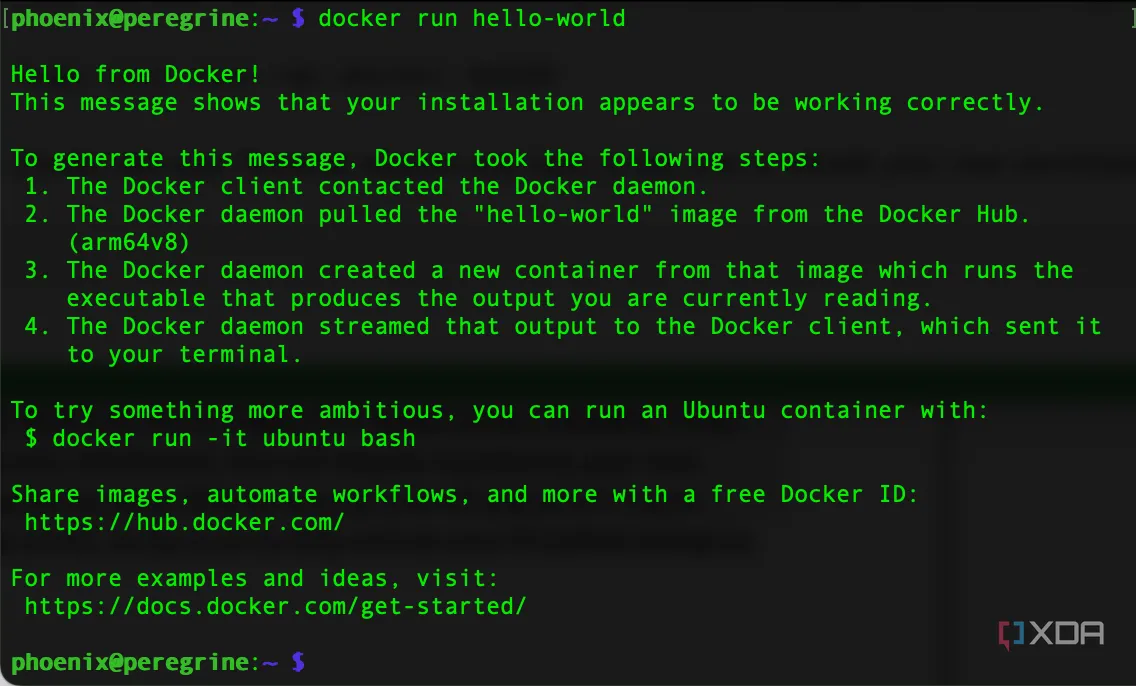 Kết quả từ việc chạy lệnh &quot;sudo docker run hello-world&quot; trong Terminal, xác nhận Docker đã được cài đặt và hoạt động chính xác trên Raspberry Pi.
