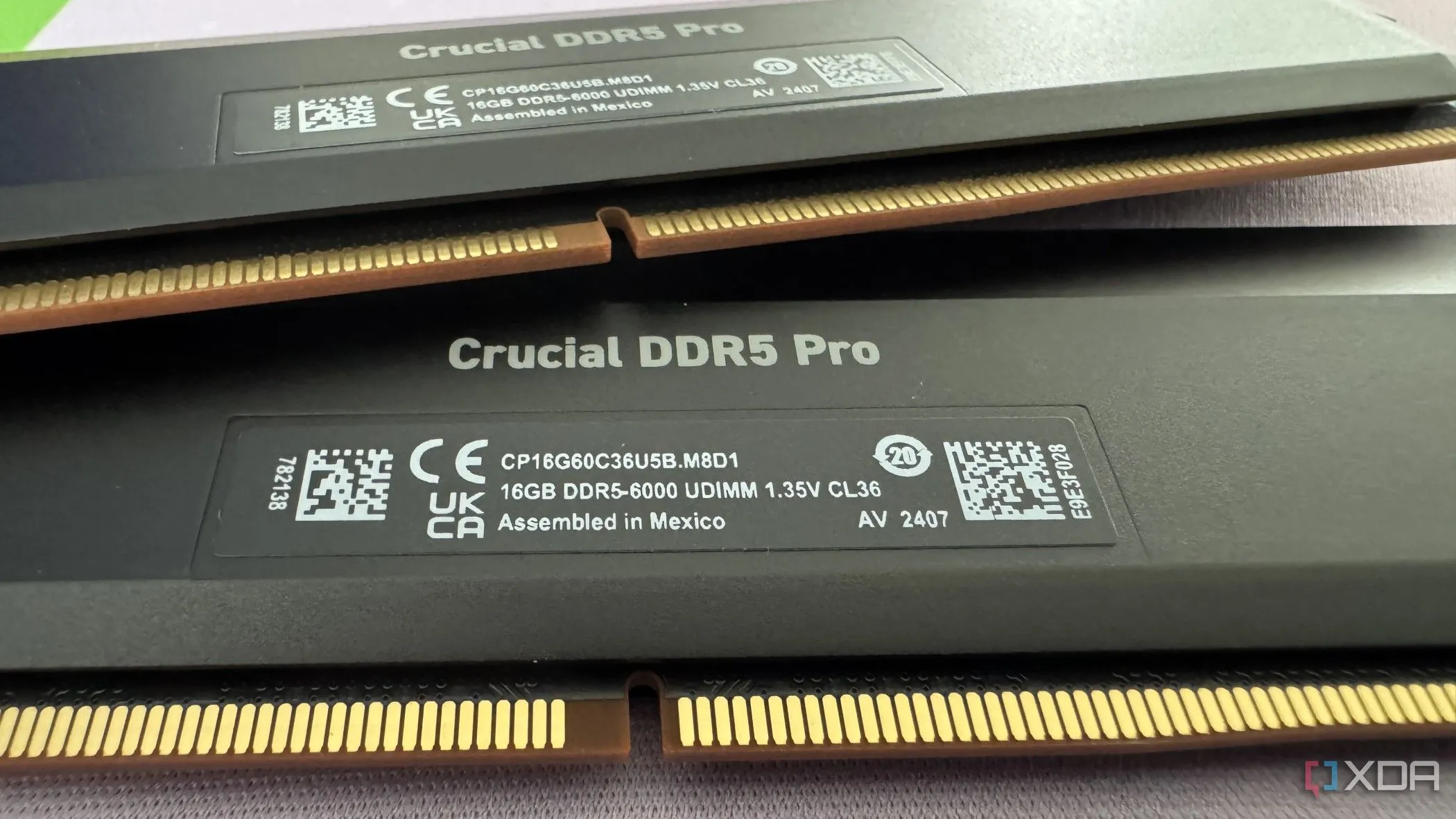 Kit RAM Crucial Pro Overclocking DDR5-6000