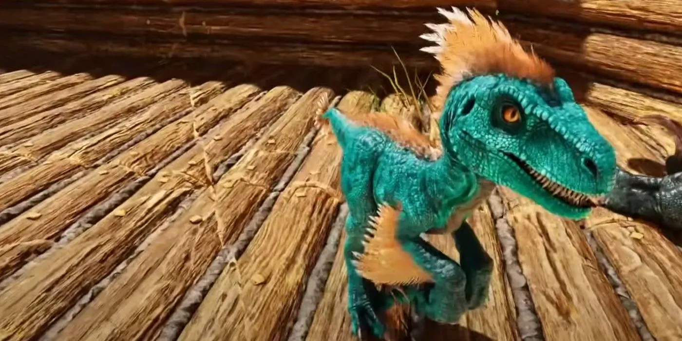Một con Raptor con màu xanh lam với những điểm nhấn màu cam trong Ark: Survival Ascended