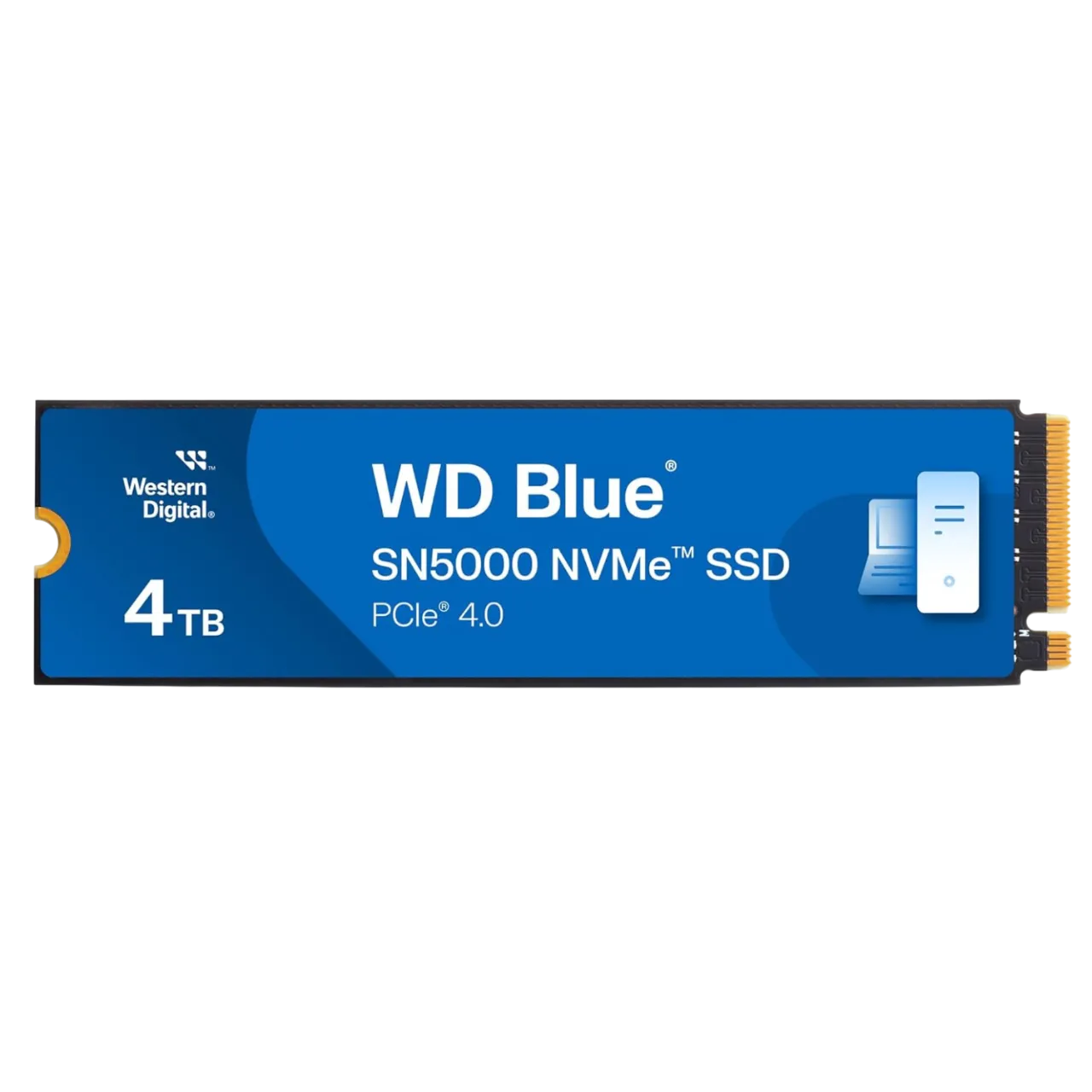 Ổ cứng SSD M.2 NVMe Western Digital SN5000, minh họa các loại khóa M và B cho chuẩn NVMe và SATA