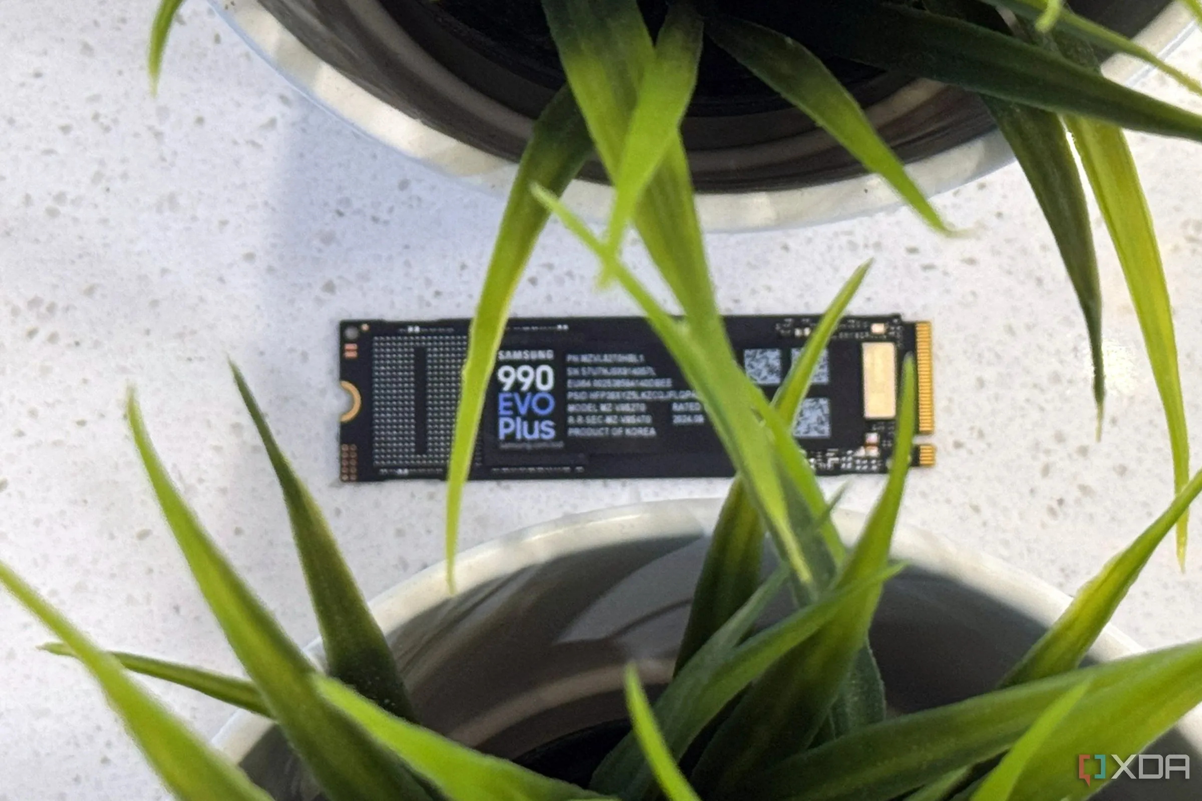 Ổ cứng SSD Samsung 990 EVO Plus được đặt cạnh hai chậu cây, tượng trưng cho hiệu suất cao và độ bền, nhấn mạnh tầm quan trọng của chỉ số Random IOPS đối với trải nghiệm sử dụng SSD thực tế.