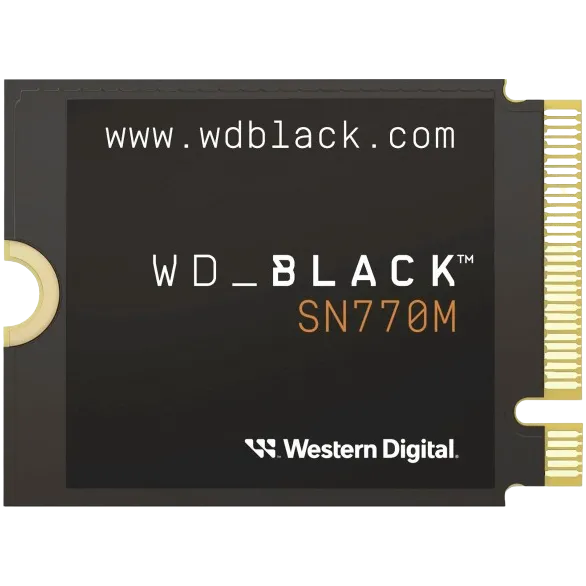 Ổ cứng SSD WD Black SN770M, minh họa cho tầm quan trọng của loại chip NAND và DRAM cache trong việc lựa chọn SSD