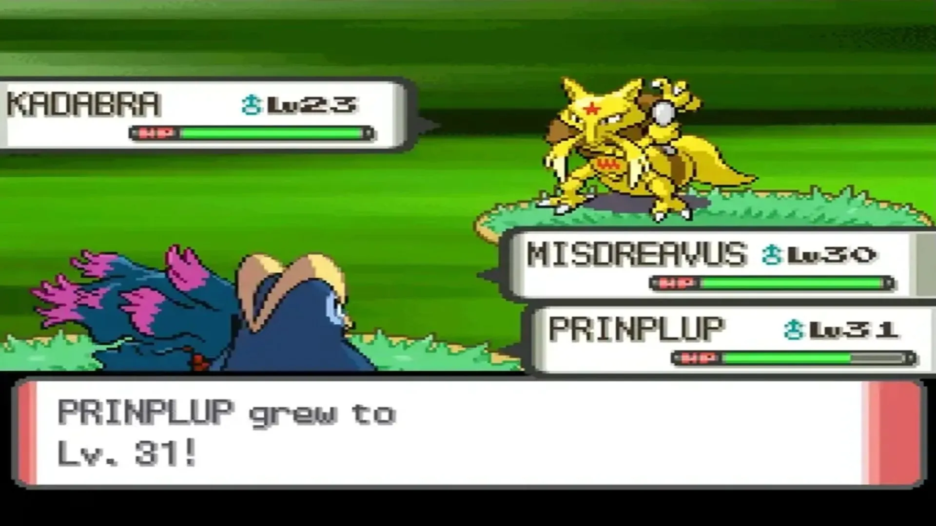 Trận đấu đôi Pokémon hấp dẫn trong game Pokémon Pearl phiên bản bundle giá trị